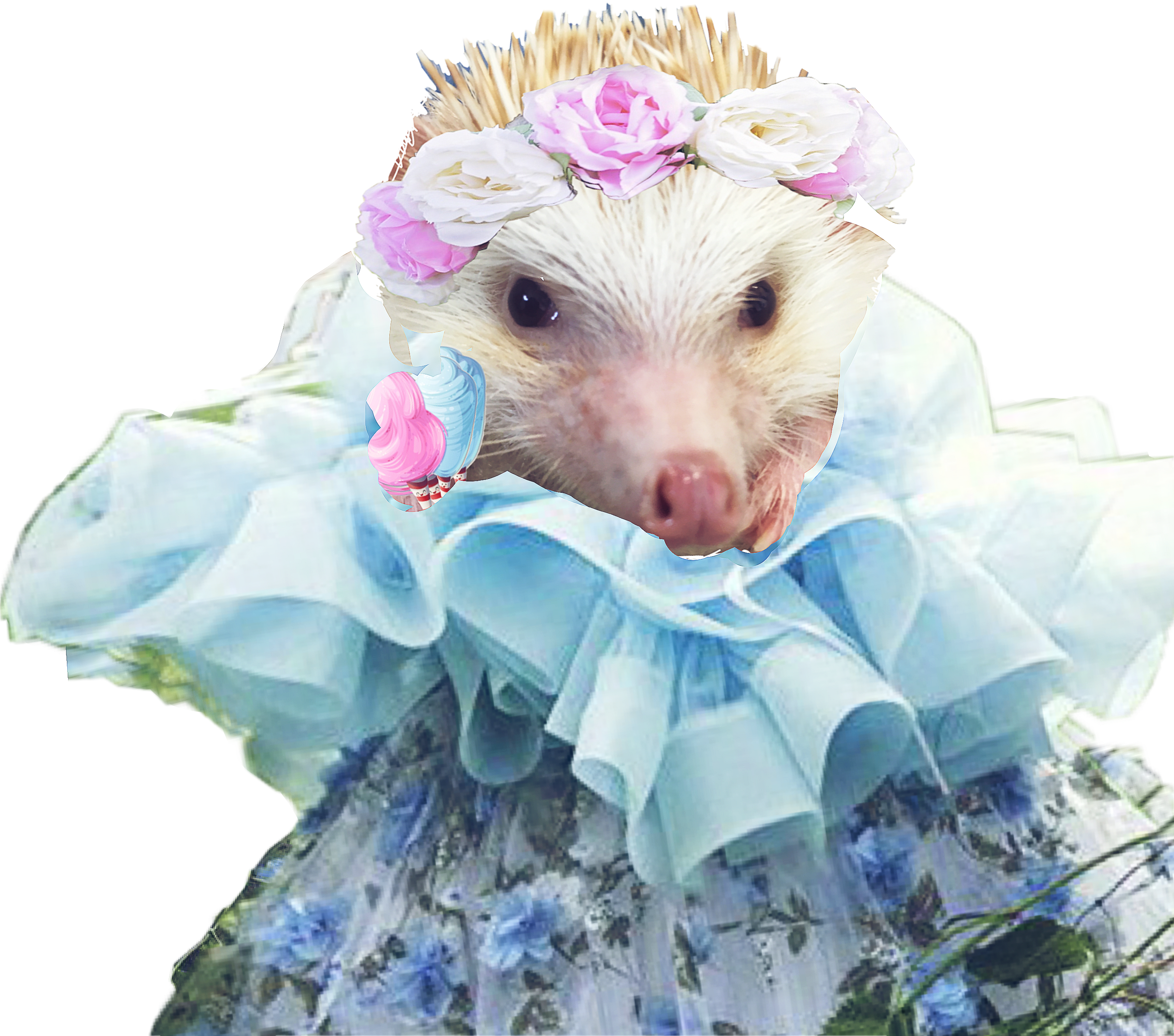 Meet Our Hedgehog Constantine All Dressed Up @newvikst - Common Opossum (2895x2554), Png Download