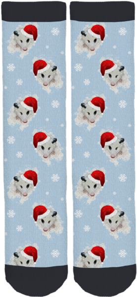 Petunia Opossum Holiday Socks - Sock (284x599), Png Download
