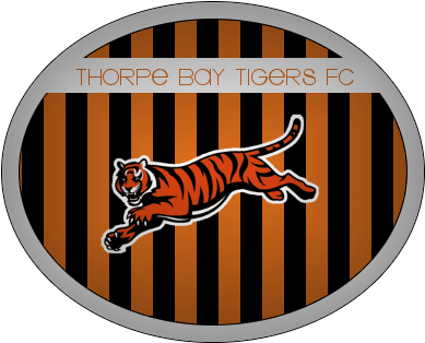 Custom Kits Thorpe Bay Tigers - Cincinnati Bengals (400x400), Png Download