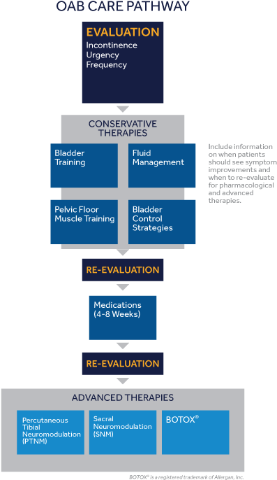 Flowchart Illustrating Care Pathway And Treatment Options - Graphics (612x792), Png Download