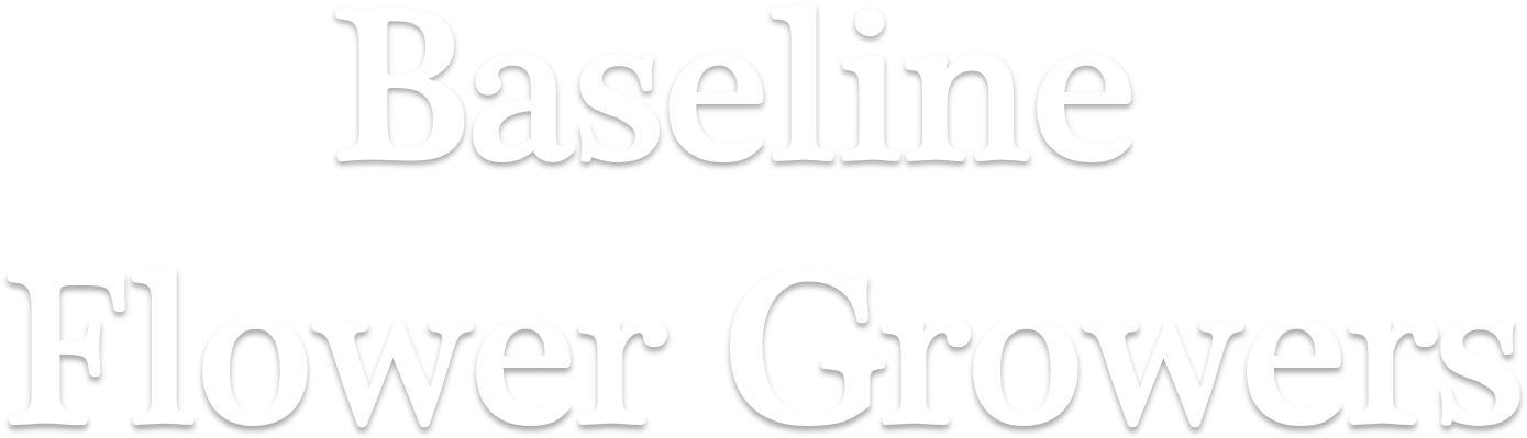 Baseline Flower Growers - Calligraphy (1641x680), Png Download