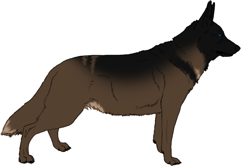 Go To Image - Dog (1000x750), Png Download