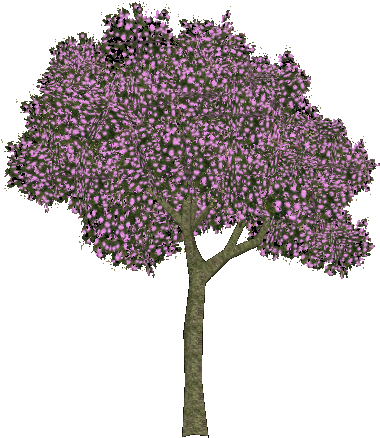 Flosssilk - Red Bud (440x439), Png Download