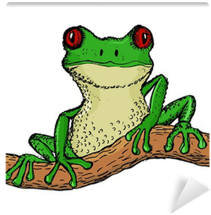 Hand Drawn, Vector, Cartoon Illustration Of Tree Frog - Rana En Una Rama Dibujo (400x400), Png Download