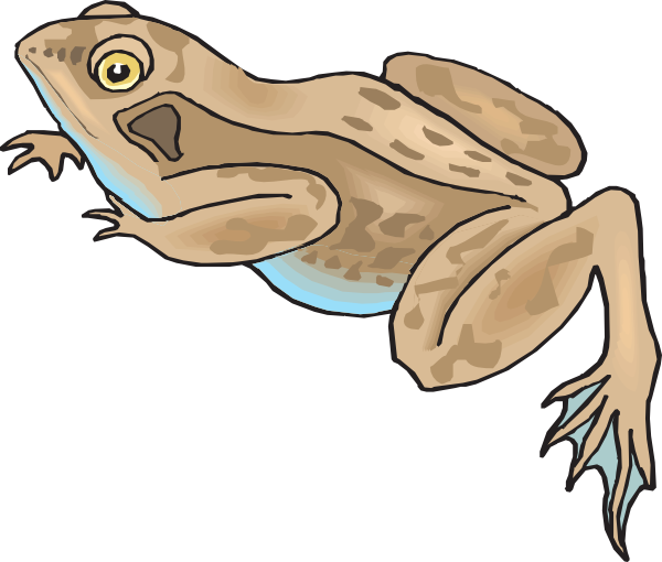 Brown And Blue Frog Svg Clip Arts 600 X 510 Px (600x510), Png Download