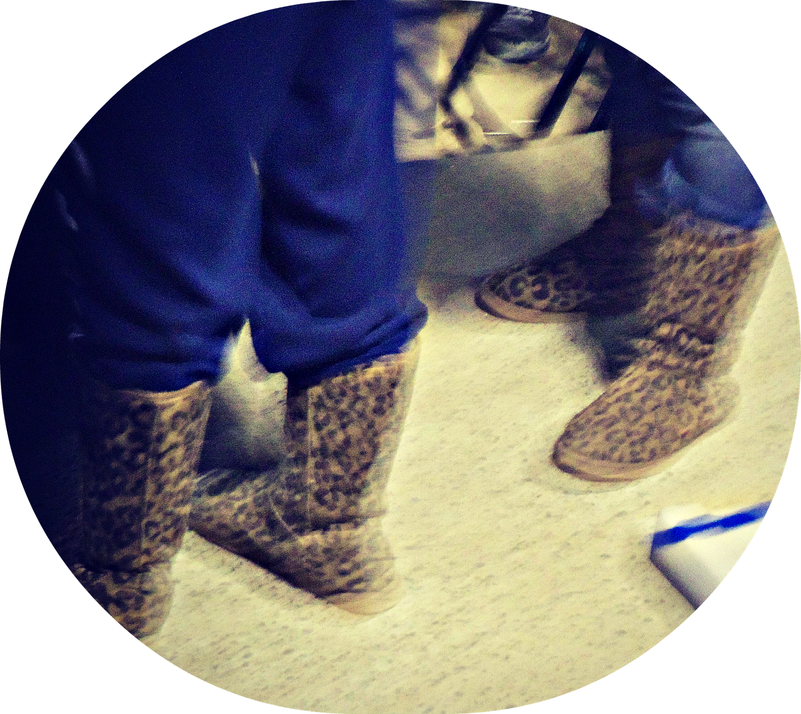 I Mean, There Are People Here Wearing Leopard Print - Art (1600x1426), Png Download