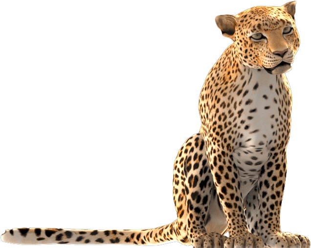 Conception Of A 3d Animation For Luxury Makers Dubai - African Leopard (1538x908), Png Download