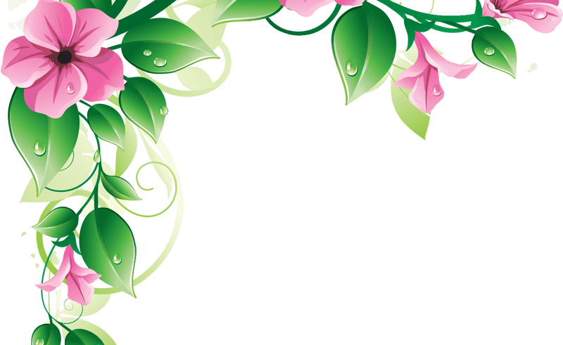 Pink Flower Border Clip Art (800x491), Png Download
