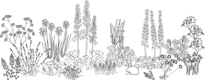 Flowers - Grey Flowers Png (700x274), Png Download