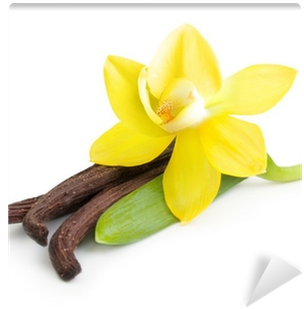 Vainilla En Fondo Blanco (400x400), Png Download