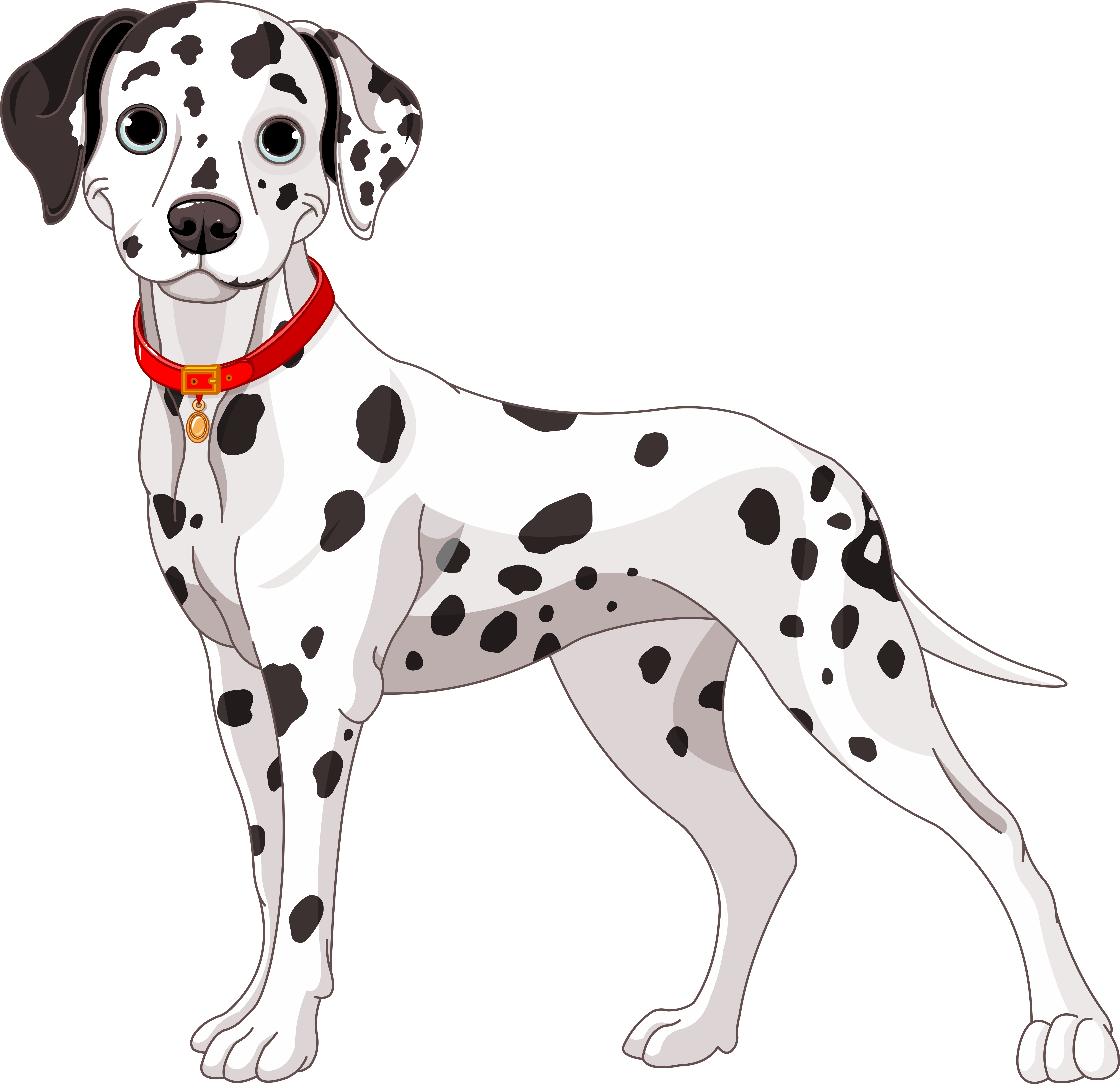 Dalmatian Png High-quality Image - Imagen De Un Perro Dalmata (600x600), Png Download