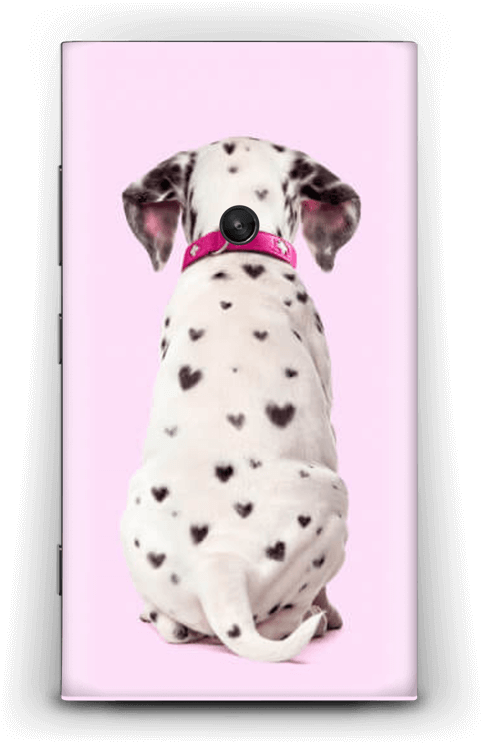 Dalmatian Love - Dalmatian Dog (534x800), Png Download