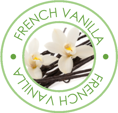 Description - Vanilla (486x468), Png Download