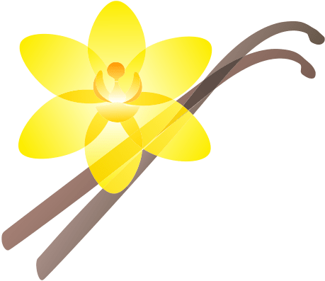 Vanilla (600x600), Png Download