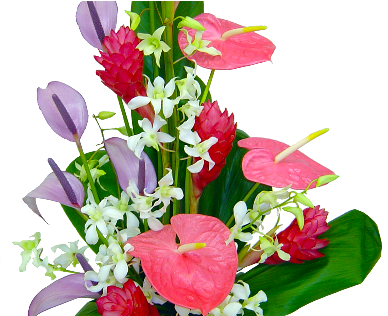 Lahaina Hawaiis Flowers Hawaii Flowers, Framed Wallpaper, - Floral Design (1200x630), Png Download