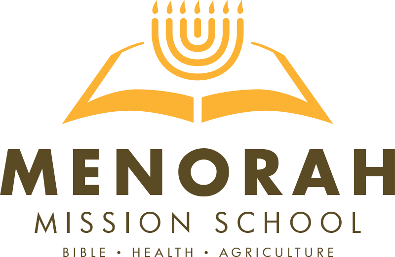 Menorah (800x522), Png Download