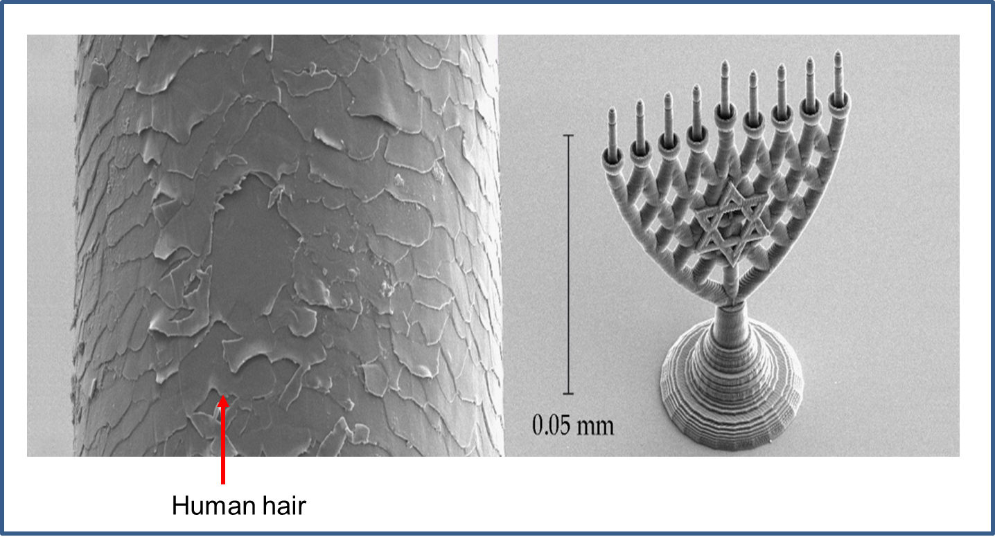 Menora - Trophy (1436x776), Png Download