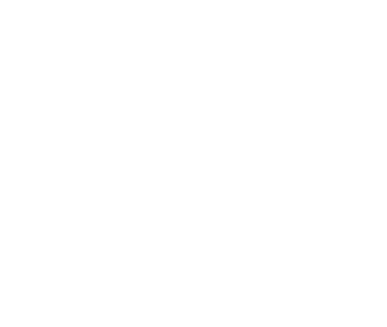 אייקון סמל מדינת ישראל - Israel Coat Of Arms Designs Throw Blanket (587x573), Png Download