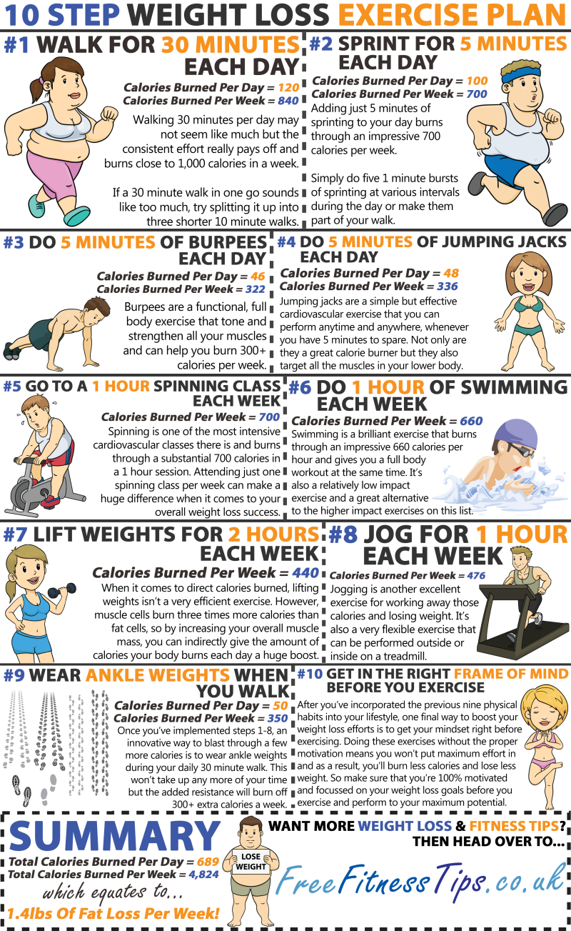 800 X 1303 800×1,303 Pixels - Gym Workout For Beginners To Lose Weight Female (800x1303), Png Download