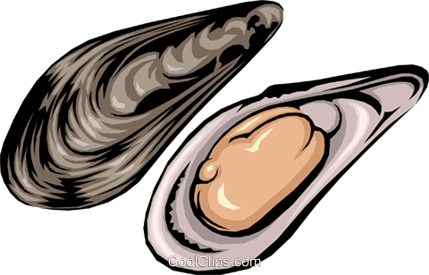 Mussels Royalty Free Vector Clip Art Illustration - Mussels Clipart (480x308), Png Download