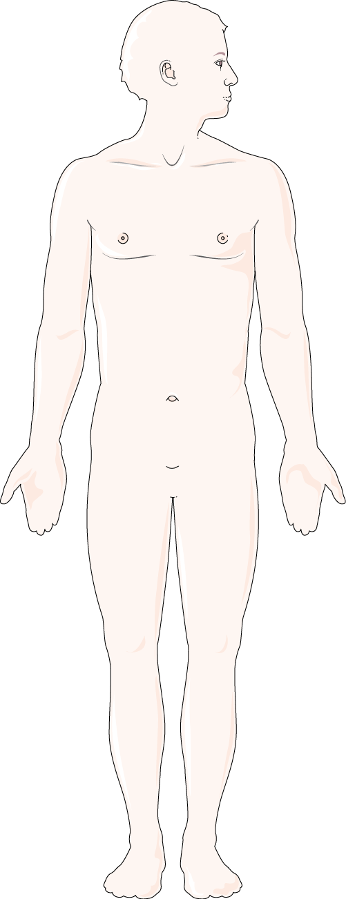 Arterial Circulation - Aconite (501x1302), Png Download