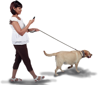 Dog Walking Service Right Walking Dog Png - People Walking With Dog Png (400x349), Png Download
