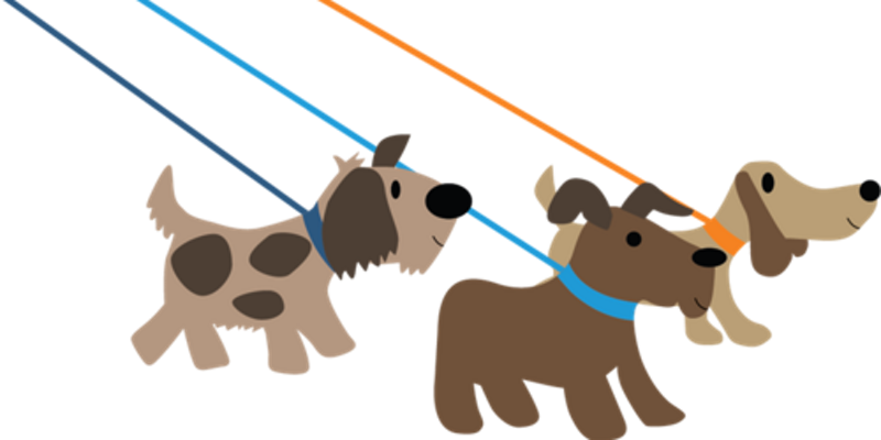 Earth Day Charity Dog Walk - Clip Art Dog Walk (800x400), Png Download