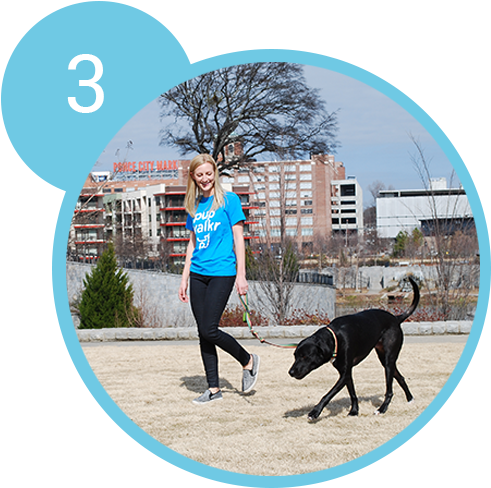 Step-3 - Dog Walking (500x500), Png Download