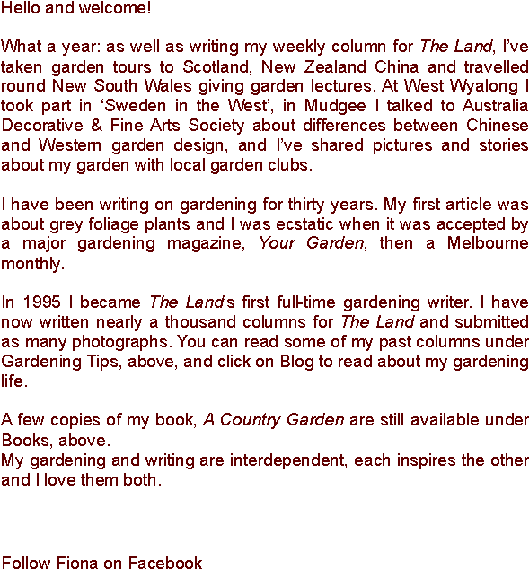 Hello And Welcome What A Year - Chinese Language (595x735), Png Download