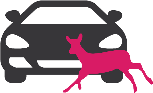 An Unknown Number Of Animals, Between Tens And Hundreds, - Road Kill Clipart (754x460), Png Download