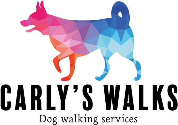 Looking For Dog Care And Walking Services In Woking, - Carly's Walks (640x449), Png Download