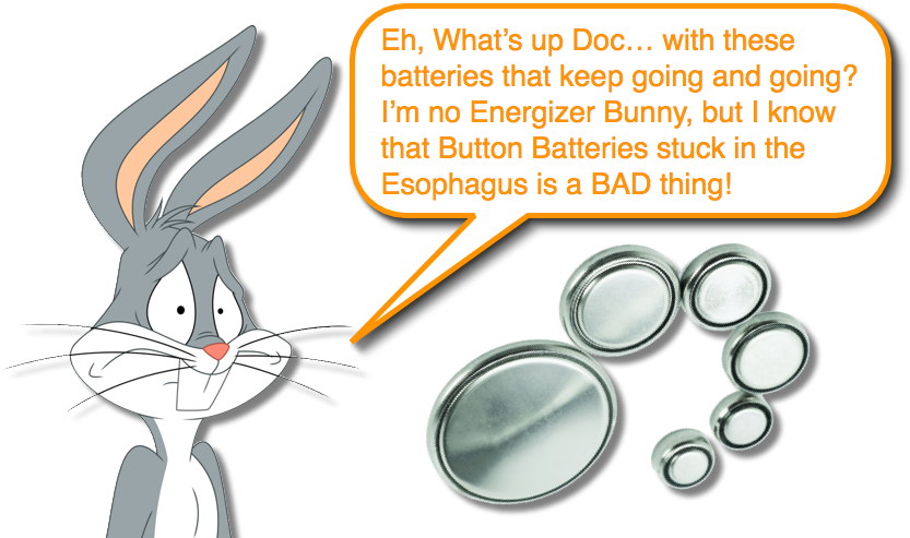 Antelope Jackrabbit (841x500), Png Download