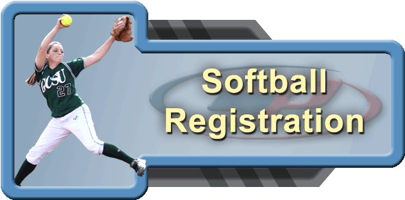 Online Player Registration - Directorate-general For Taxation And Customs Union (600x300), Png Download