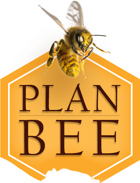 Bee - Bee Plan (480x618), Png Download