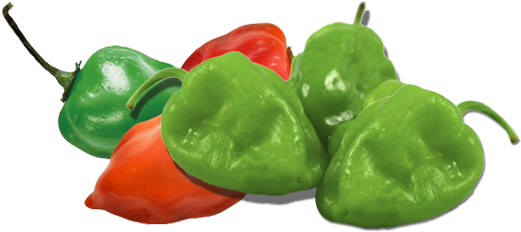 Delight The Palate Of Your Customers Including Your - Habanero (527x237), Png Download