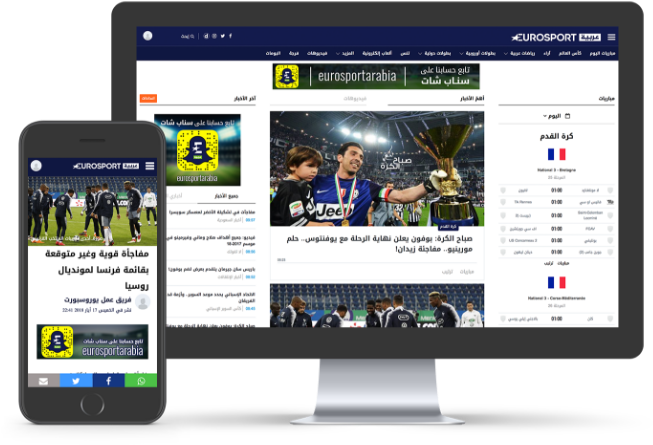 Web Development - White Bird (700x493), Png Download