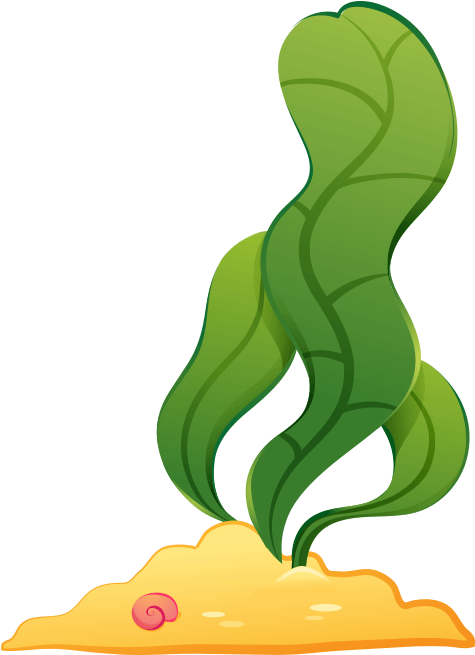 Seaweed Sticker (700x700), Png Download
