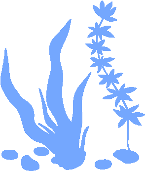 Catalog & Monitor Invasive Seaweeds - Under The Sea Clipart Silhouette (443x406), Png Download