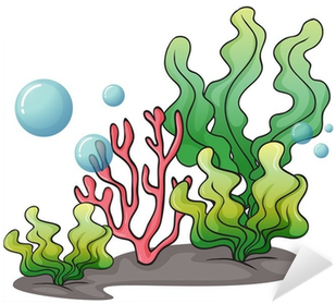 Under The Sea Plants Cartoon (400x400), Png Download