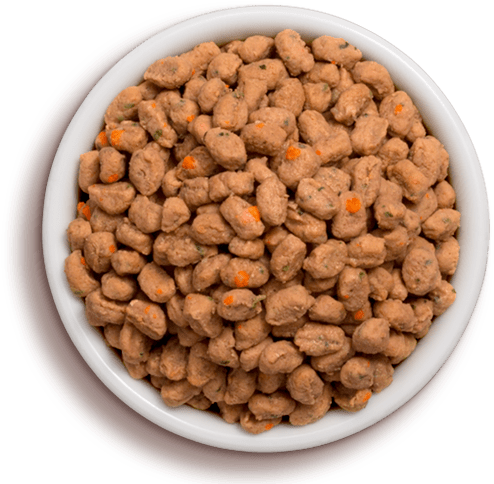 Vital® Grain Free Chicken & Ocean Whitefish Cat Food - Pet Food Transparent (500x500), Png Download