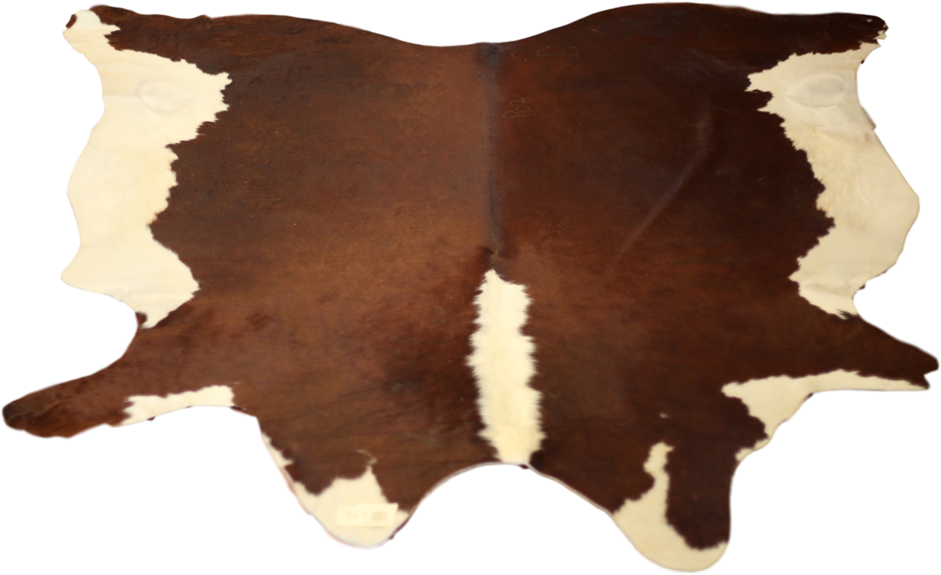 Trophy Room Collection - Chocolate (2400x1600), Png Download