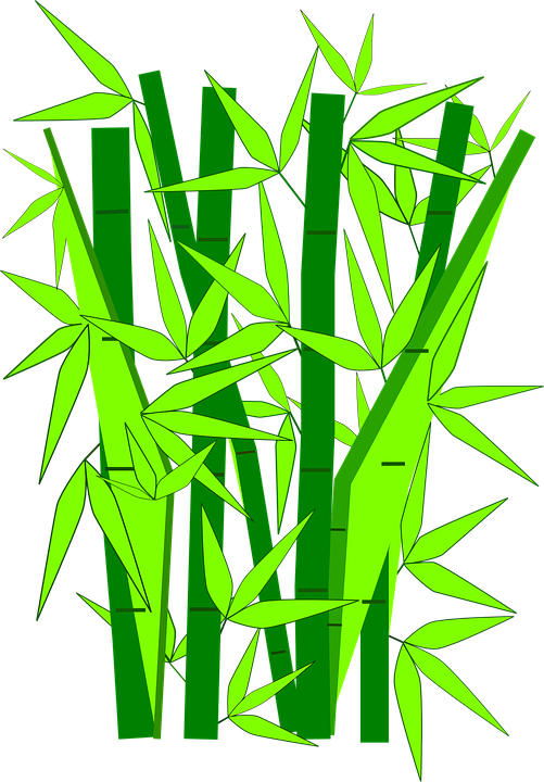 Bamboo Tree Vector Png - Gambar Kartun Pohon Bambu (501x720), Png Download
