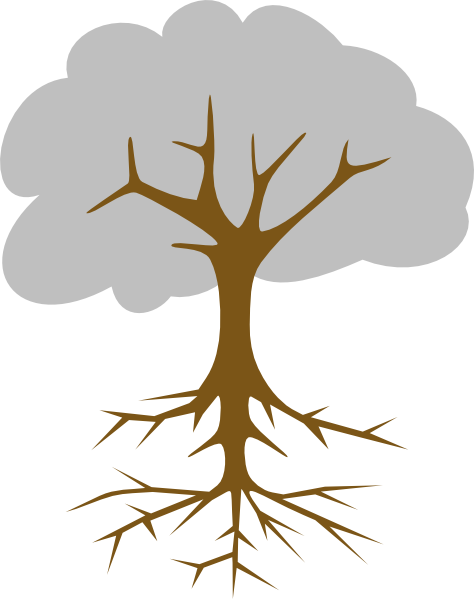 Small - Parts Of The Tree Png (474x599), Png Download