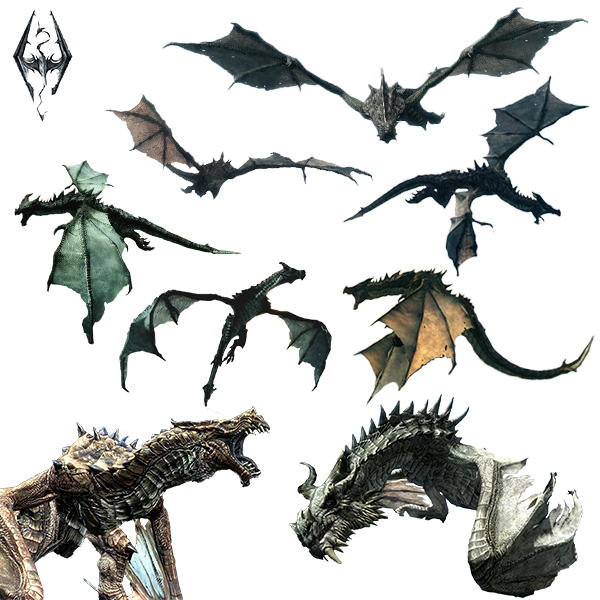 Collection Of Flying And Perching Dragons From Skyrim - Elder Scrolls Dragon Flying (600x600), Png Download
