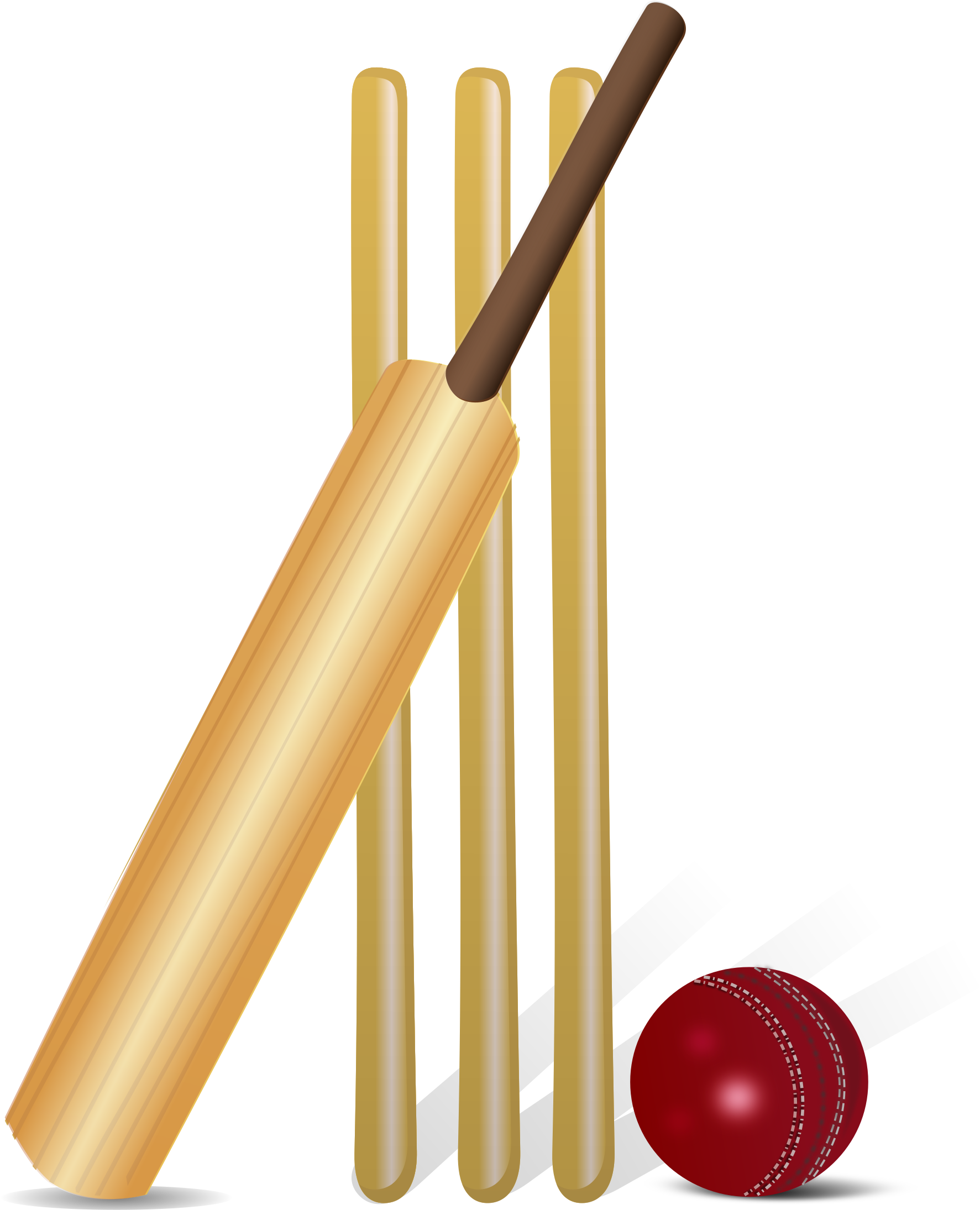 Cricket By Gnokii - Cricket Clipart (2400x2400), Png Download