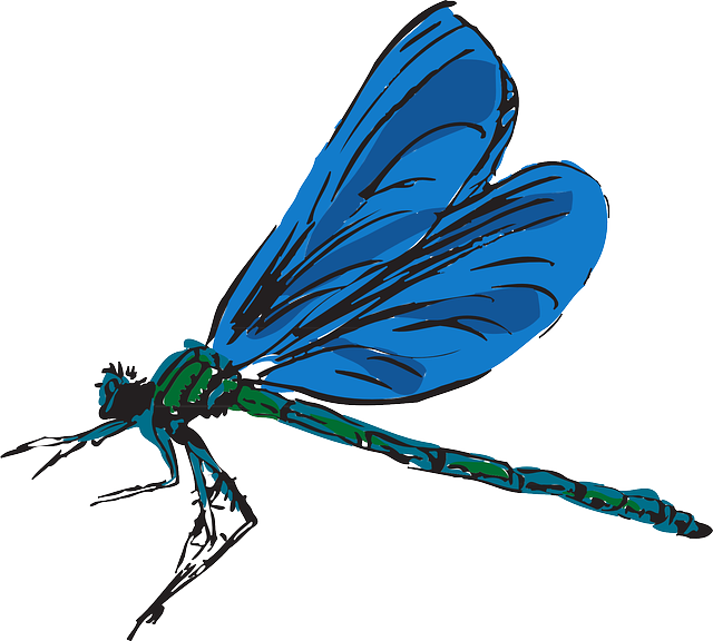 Dragonfly, Flying, Color, Wings, Art, Insect, Fly - Dragonfly Clipart (640x576), Png Download
