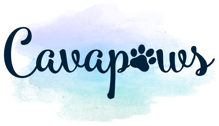 Calligraphy (730x420), Png Download