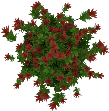 Flores 2 - Arbustos Con Flores Con Fondo Blanco (700x500), Png Download