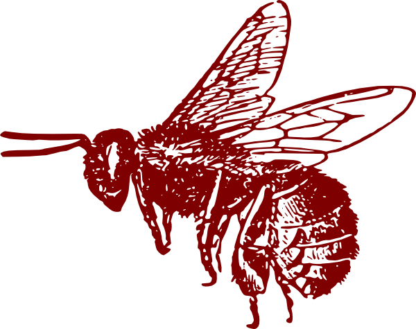 Small - Bee Clip Art (600x475), Png Download