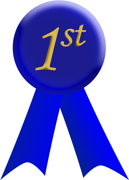 First Place Blue Ribbon - First Place Ribbon (500x650), Png Download